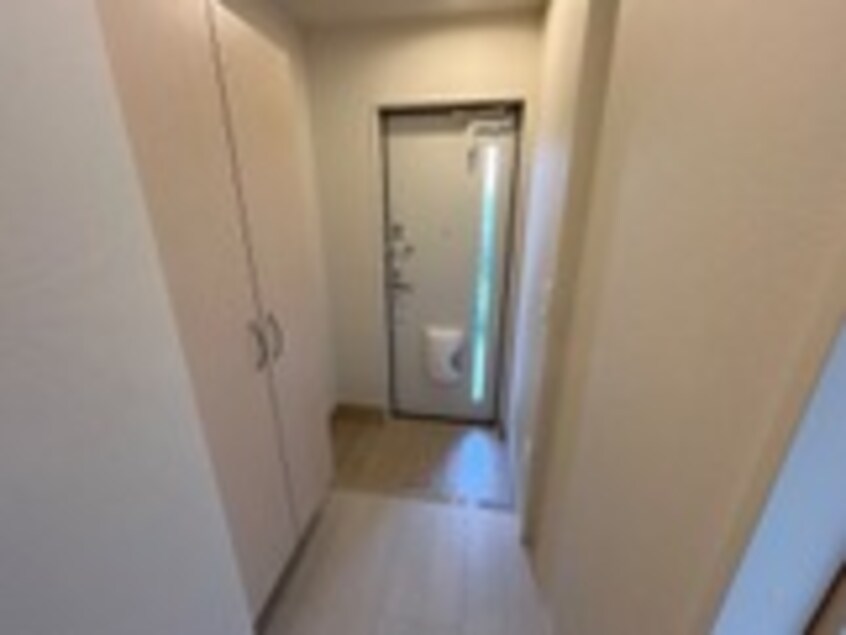  ハレカピリナ新涯