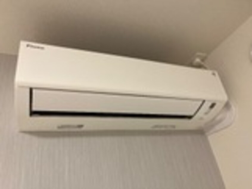  ハレカピリナ新涯