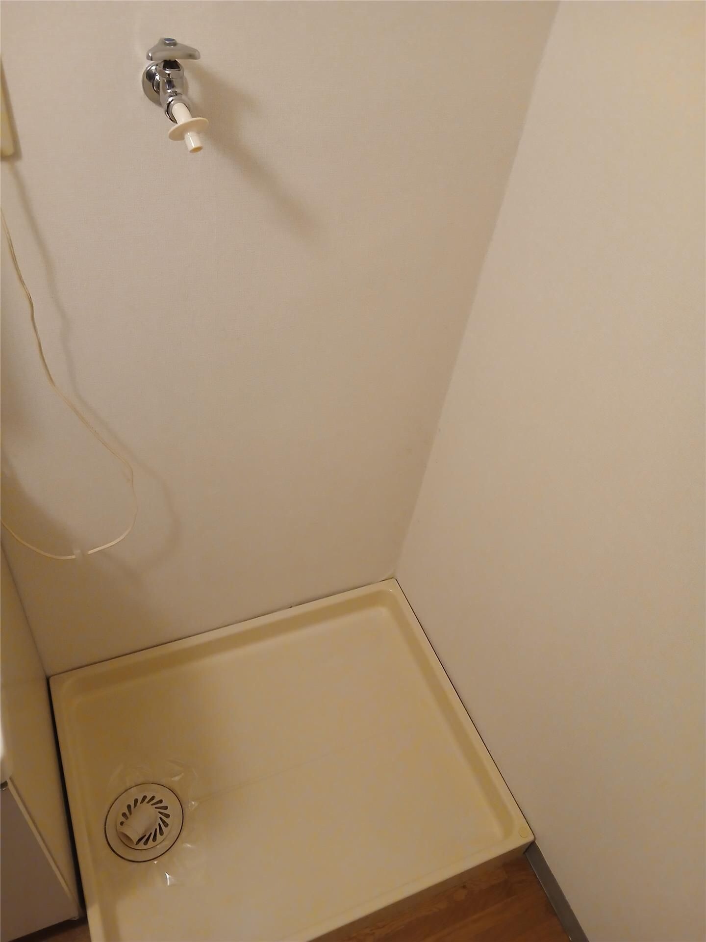  ロイヤルトーク