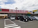 ひまわり御幸店まで1200m ロジュマン　グラシューＫ