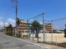 手城小学校まで700m ベル　ルミエールⅡ