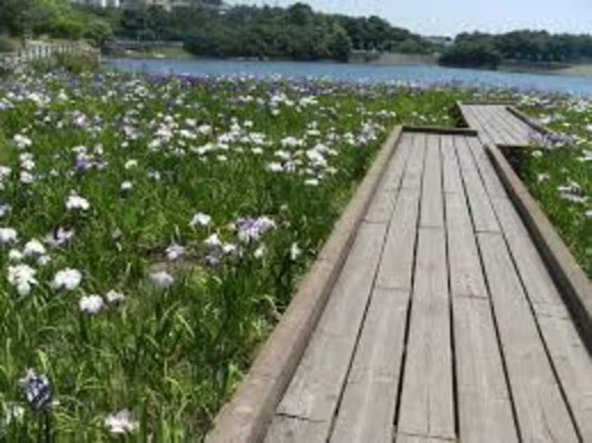 春日池公園 2356m シャムロック春日Ⅰ