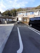  コットン　フィールド