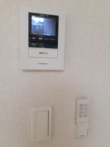  コットン　フィールド