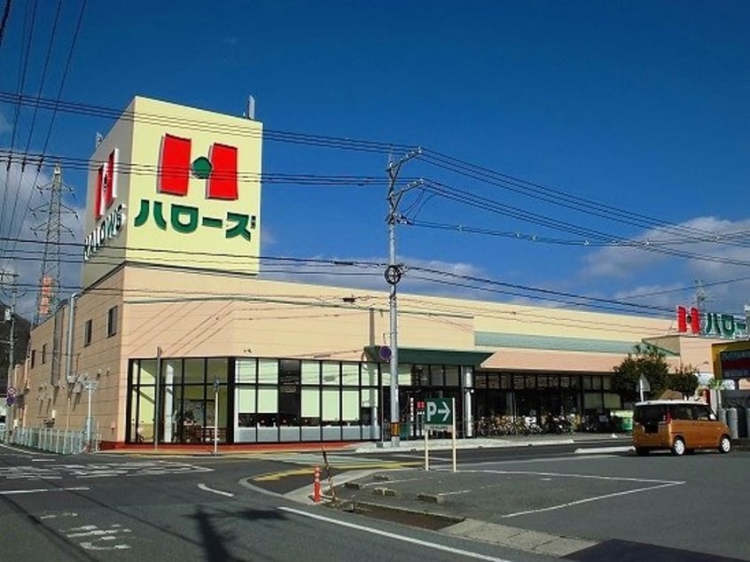 ハローズ山手店まで400m エース　ヒルズ