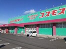 ドラッグストアコスモス 福山新涯店 642m サザンソレイユ