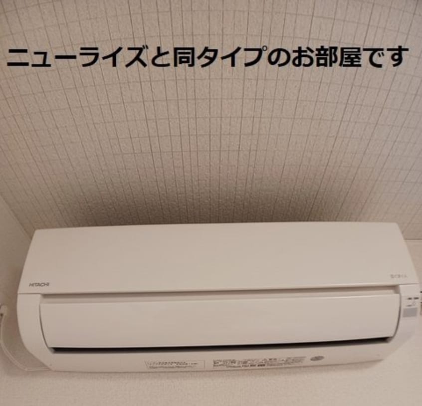  ロイセレストＢ