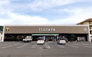 ファミリーマート TSUTAYA井原店(コンビニ)まで1653m アルモニーアＡ
