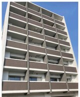 Alba　Rose　（アルバローズ）