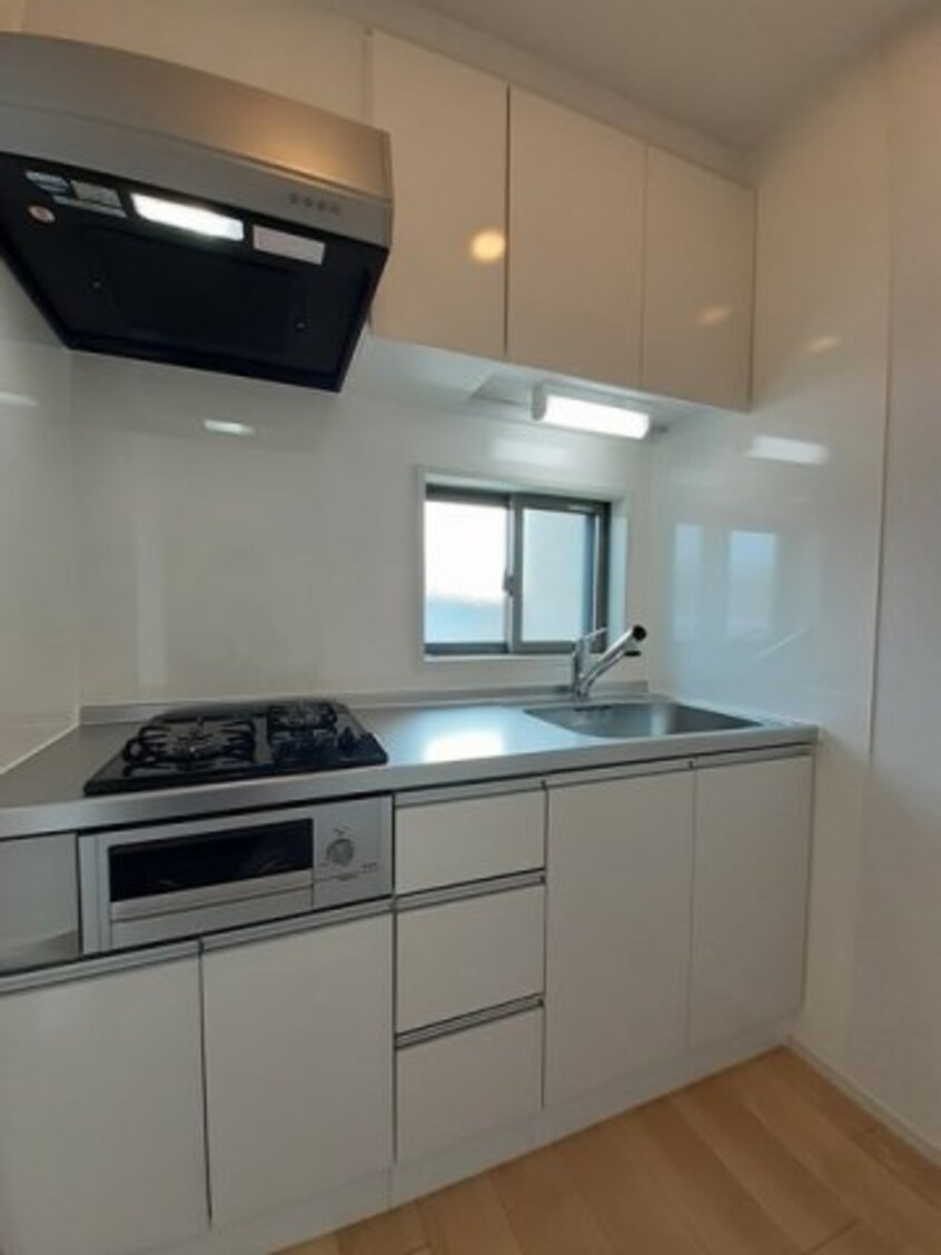  トイロ・オノ・Ｂ