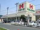 ハローズ大門店まで2000m ジェルメⅡＡ