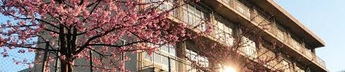 福山市立野々浜小学校(小学校)まで1342m ジェルメⅡＡ