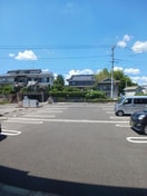  ストレリチア・アルバＡ