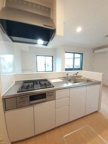  ストレリチア・アルバＡ