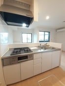  ストレリチア・アルバＡ