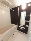  ストレリチア・アルバＡ