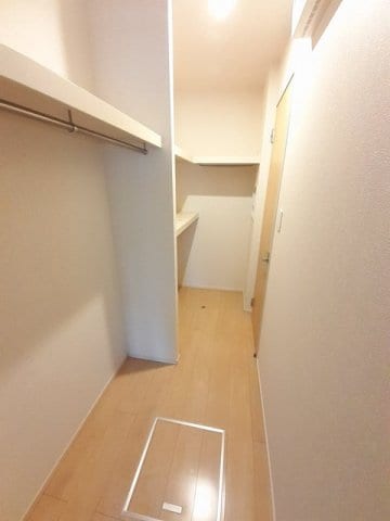  ストレリチア・アルバＡ