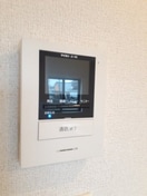  ストレリチア・アルバＡ