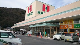 ハローズ 井原店(スーパー)まで2378m サウスヴィラＡ