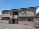  サンフラワー