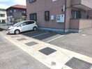  サンフラワー