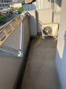  コスモス南蔵王