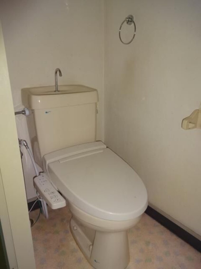  パラツイーナ光南