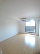  プラシード　Ⅱ