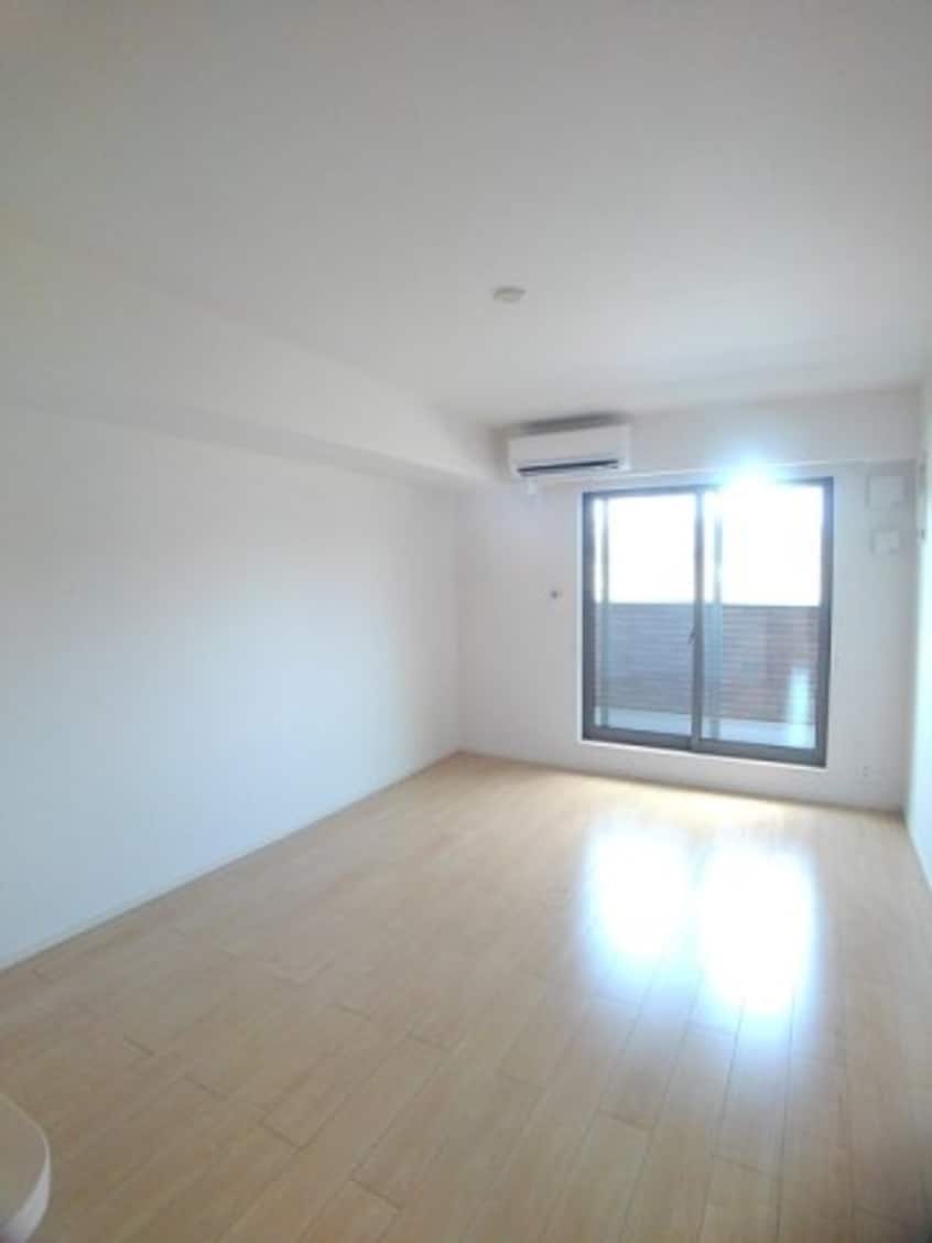  プラシード　Ⅱ