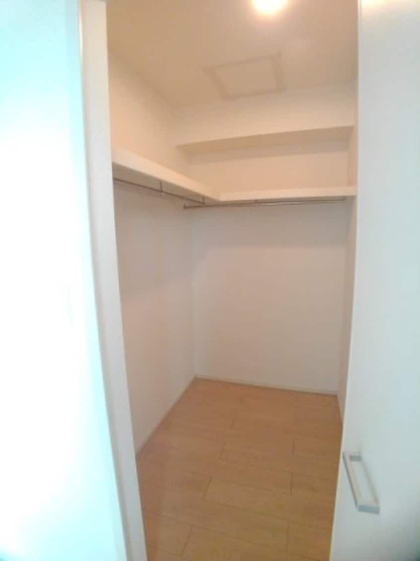  プラシード　Ⅱ