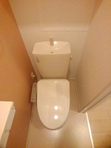  プラシード　Ⅱ