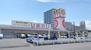 ププレひまわり薬局春日東店(ドラッグストア)まで616m ハピネス春日  B