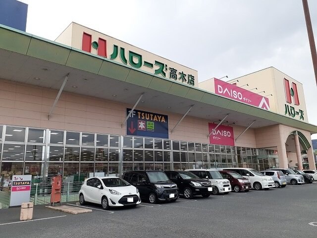 ハローズ高木店まで1300m クールメゾン　広谷
