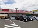 スーパードラッグひまわり 御幸店(ドラッグストア)まで1292m エンゼル　ハート