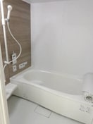  アジャート手城