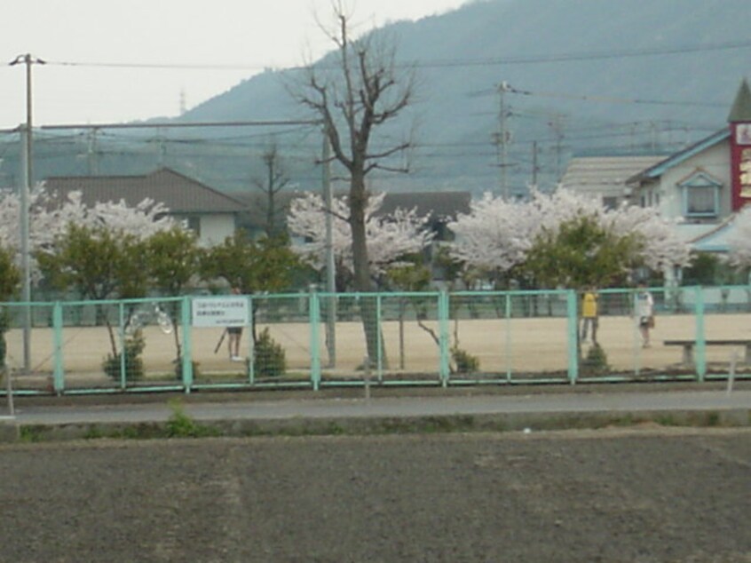 新涯町4丁目公園まで200ｍ トスカーナ