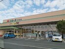 ハローズ 戸手店(スーパー)まで1163m ソレイユ　Ａ