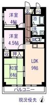 グレースコーエイ 3DKの間取り