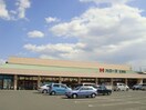 ハローズ引野店（スーパー）まで957ｍ ピア・ウィッシュ