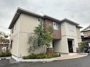 Ｒａｒｅ　Ｍａｉｓｏｎ