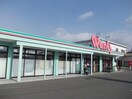 ウォンツ府中店まで650m エレガンテ　Ⅰ