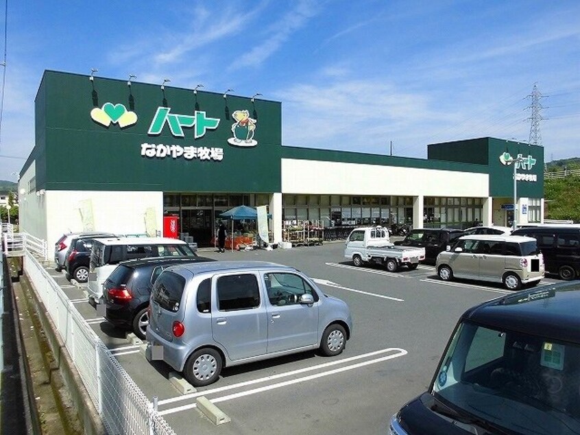 ハート坪生店まで700m 中土井ロングハイツ