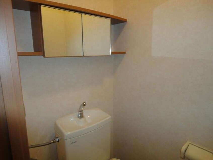 トイレ収納 セイフティ・パレＫ