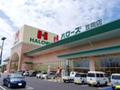 ハローズ笠岡店まで650m サンシャインＡ