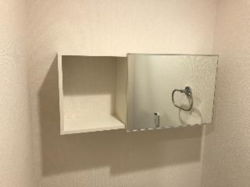 トイレ収納（イメージ） グランコスモＡ
