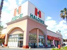 ハローズ水呑店まで300m エスプランドル