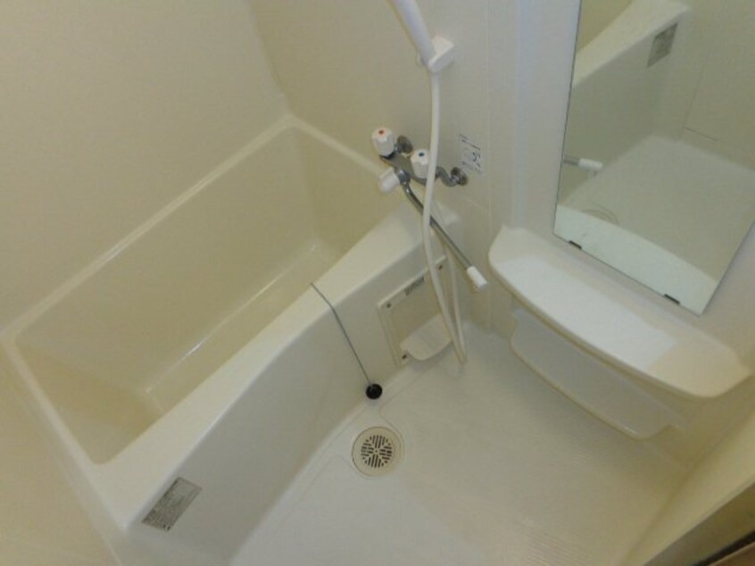 バス（イメージ） ピーチヒルズ