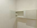 トイレ戸棚 リリア
