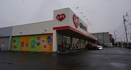 レディ薬局さんまで1100m