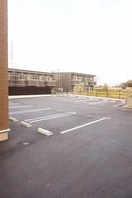  マウントビューオリーブ